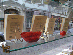 La vitrine de la librairie Quai des Brumes à Strasbourg (3)